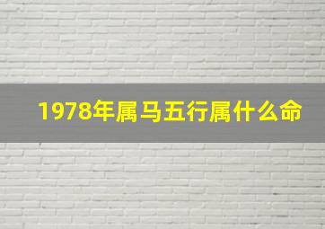 1978年属马五行属什么命