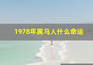 1978年属马人什么命运