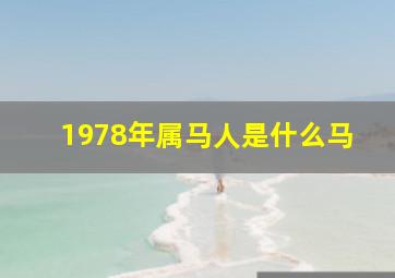 1978年属马人是什么马