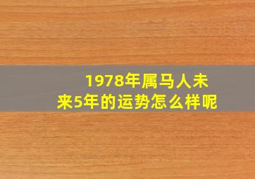 1978年属马人未来5年的运势怎么样呢