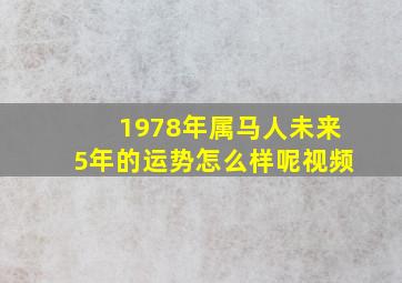 1978年属马人未来5年的运势怎么样呢视频