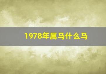 1978年属马什么马