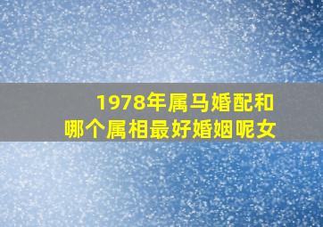 1978年属马婚配和哪个属相最好婚姻呢女