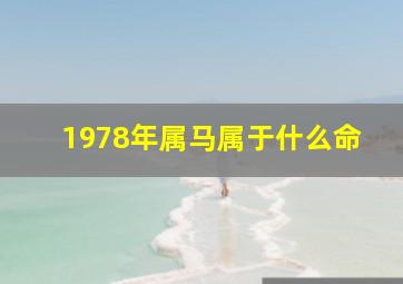 1978年属马属于什么命