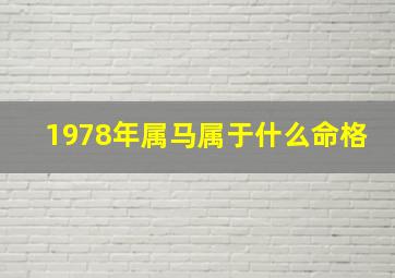 1978年属马属于什么命格