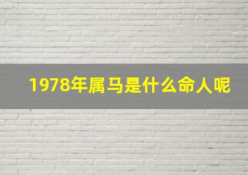 1978年属马是什么命人呢