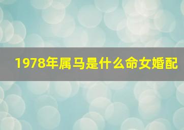 1978年属马是什么命女婚配