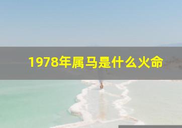 1978年属马是什么火命