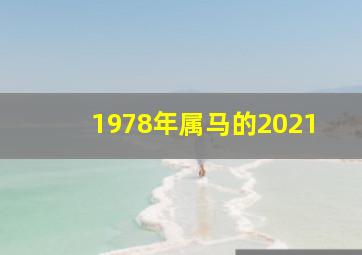 1978年属马的2021