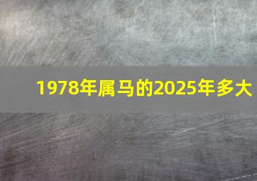 1978年属马的2025年多大