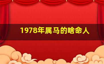 1978年属马的啥命人