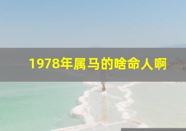 1978年属马的啥命人啊