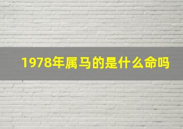 1978年属马的是什么命吗