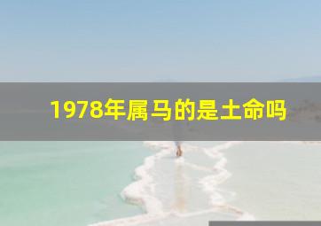 1978年属马的是土命吗