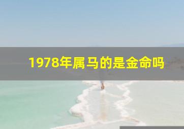 1978年属马的是金命吗