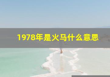 1978年是火马什么意思