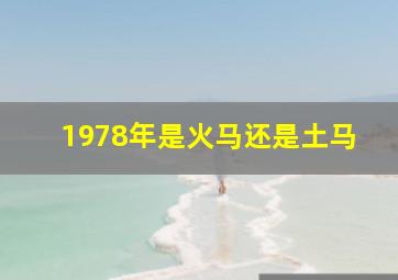 1978年是火马还是土马