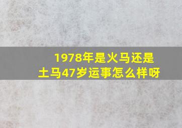 1978年是火马还是土马47岁运事怎么样呀