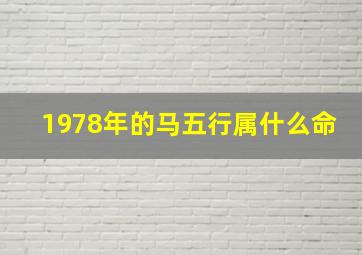 1978年的马五行属什么命