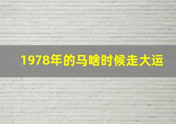 1978年的马啥时候走大运