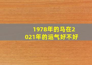 1978年的马在2021年的运气好不好