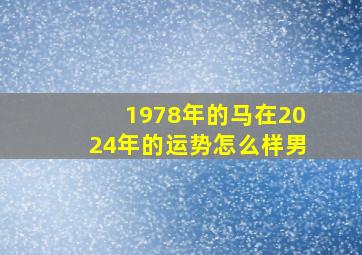 1978年的马在2024年的运势怎么样男