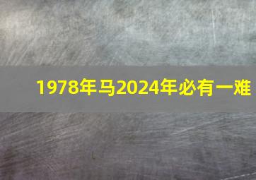 1978年马2024年必有一难