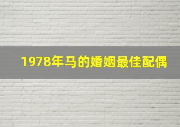 1978年马的婚姻最佳配偶