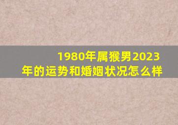 1980年属猴男2023年的运势和婚姻状况怎么样