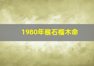 1980年猴石榴木命