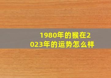 1980年的猴在2023年的运势怎么样