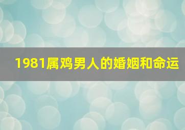 1981属鸡男人的婚姻和命运