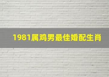 1981属鸡男最佳婚配生肖