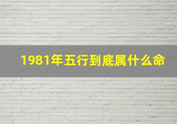 1981年五行到底属什么命