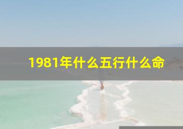 1981年什么五行什么命