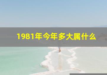 1981年今年多大属什么