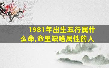 1981年出生五行属什么命,命里缺啥属性的人