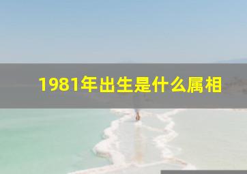 1981年出生是什么属相