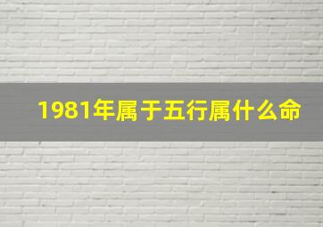 1981年属于五行属什么命