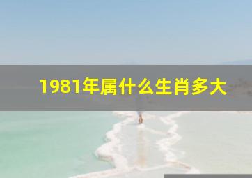 1981年属什么生肖多大