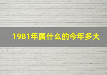 1981年属什么的今年多大