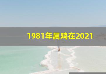 1981年属鸡在2021