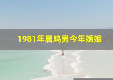 1981年属鸡男今年婚姻