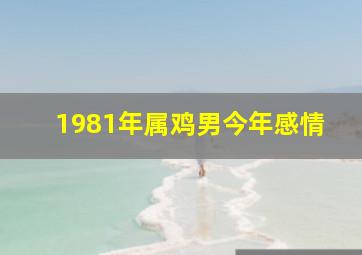 1981年属鸡男今年感情