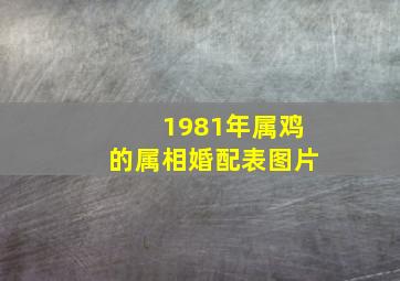 1981年属鸡的属相婚配表图片