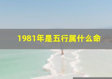 1981年是五行属什么命