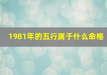 1981年的五行属于什么命格