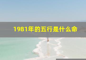 1981年的五行是什么命