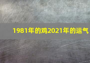 1981年的鸡2021年的运气