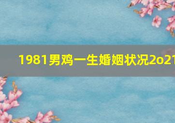 1981男鸡一生婚姻状况2o21